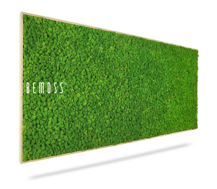 Un panneau rectangulaire recouvert de mousse verte luxuriante avec le nom de marque « BEMOSS » imprimé en blanc sur le côté gauche. La mousse dense et vibrante donne à ce Tableau de mousse en mousse de RENNE mono un aspect naturel et texturé. Le panneau semble flotter sur un fond blanc.