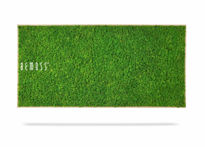 Art mural rectangulaire en mousse verte avec un cadre en bois comportant de la mousse verte densément tassée. Le mot « BEMOSS » est écrit en blanc sur le côté gauche de la surface de la mousse. Le cadre projette une ombre sur un fond blanc, mettant en valeur son design élégant parmi d'autres Tableau de mousse en mousse de RENNE mono.