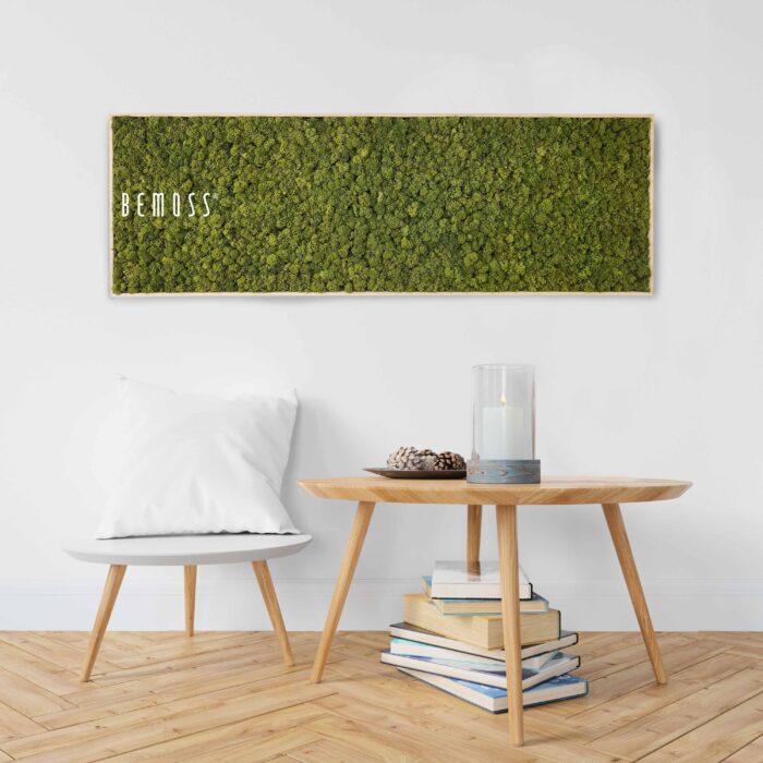 Une chambre moderne et minimaliste comprend une chaise blanche avec un oreiller blanc à côté d'une table en bois avec une pile de livres, une bougie et des pommes de pin. Ci-dessus, un tableau rectangulaire de mousse en mousse de RENNE mono avec le mot « BEMOSS » est accroché au mur blanc.