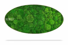 Une œuvre d'art murale ovale présente une surface de mousse verte luxuriante avec le mot « BEMOSS » écrit en blanc sur le côté gauche. La texture naturelle du Tableau de mousse Ellipse BOLMOSS Light donne à la pièce un aspect vibrant et organique, projetant une ombre subtile en dessous.