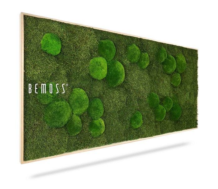 Un panneau mural rectangulaire recouvert de diverses nuances de mousse verte selon des motifs circulaires est exposé sur un fond blanc. Le mot « BEMOSS » est écrit sur le côté gauche du Tableau de mousse BEMOSS® ORTHO FOREST en caractères blancs et modernes.