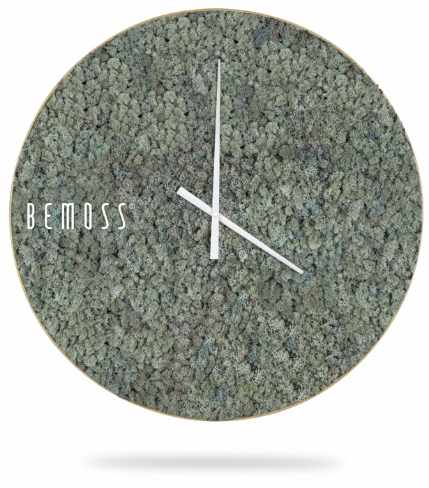 Horloge murale ovale avec une surface verte texturée ressemblant à de la mousse. L'horloge est dotée d'aiguilles des heures et des minutes blanches élégantes et minimalistes, sans chiffres ni marqueurs. Le mot « BEMOSS » est placé sur le côté gauche du cadran de l’horloge. Ce design unique de l'Horloge de mousse en mousse de RENNE donne l'impression que l'horloge est suspendue.