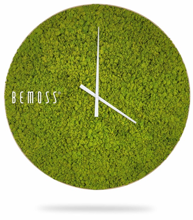 Une horloge murale moderne avec une texture de mousse verte comme fond, ressemblant à des murs en mousse. L'horloge comporte de fines aiguilles blanches des heures et des minutes et le nom de la marque « Horloge de mousse en mousse de RENNE » en blanc sur le côté gauche du cadran de l'horloge.