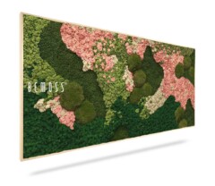 Une œuvre d'art murale rectangulaire présentant un mélange de mousse préservée dans diverses nuances de vert et de rose disposées selon un motif abstrait. La pièce est encadrée d'une fine bordure en bois, et le nom de la marque "Tableau de mousse BEMOSS® ORTHO PINK" est visible sur le côté.