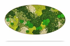 Une œuvre d'art mural de forme ovale présentant un design abstrait et texturé de différentes nuances de mousse verte et jaune. La composition ressemble à un paysage dense et naturel. Le mot « BEMOSS » est visible sur le côté gauche de la pièce, mettant en valeur la beauté du Tableau de mousse Ellipse BEMOSS® ORTHO SPRING dans un décor moderne.