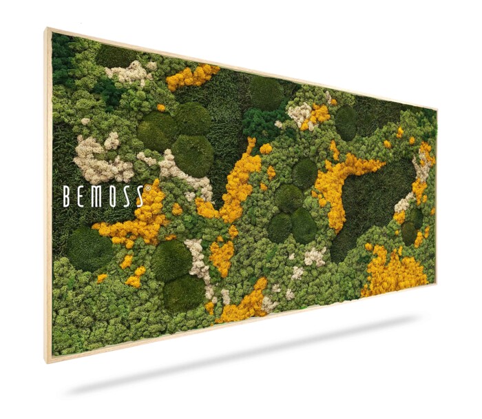 Un cadre rectangulaire contient un arrangement tridimensionnel vibrant de mousse dans différentes nuances de vert, jaune et blanc, créant une œuvre d'art naturelle et texturée. La mention « Tableau de mousse BEMOSS® ORTHO PINK » est visible sur le côté gauche du cadre.