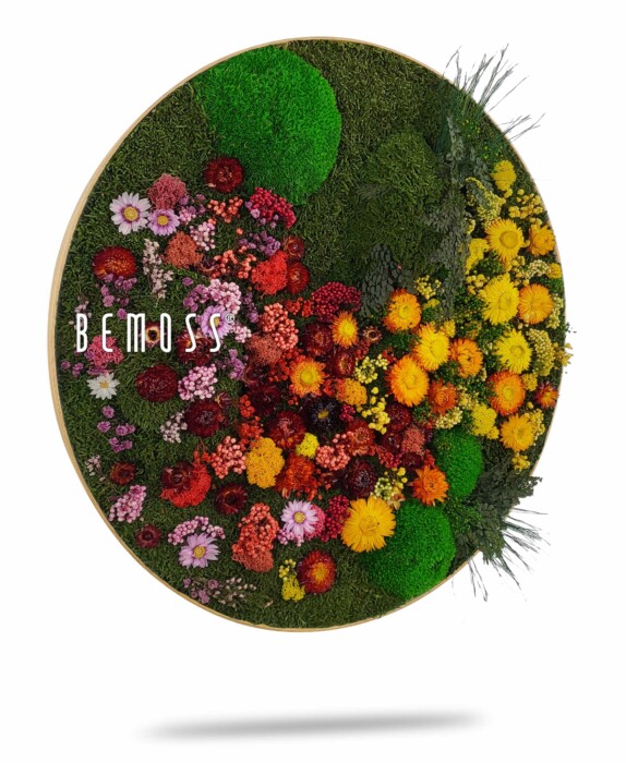 Un arrangement floral circulaire avec un dégradé allant de la mousse verte à gauche aux fleurs vibrantes et colorées à droite. Les fleurs comprennent des rouges, des roses, des jaunes et des oranges. « BEMOSS » est écrit sur le côté gauche du cercle, se fondant parfaitement dans ce luxuriant présentoir Tableau de mousse rond PLANTES Parra.