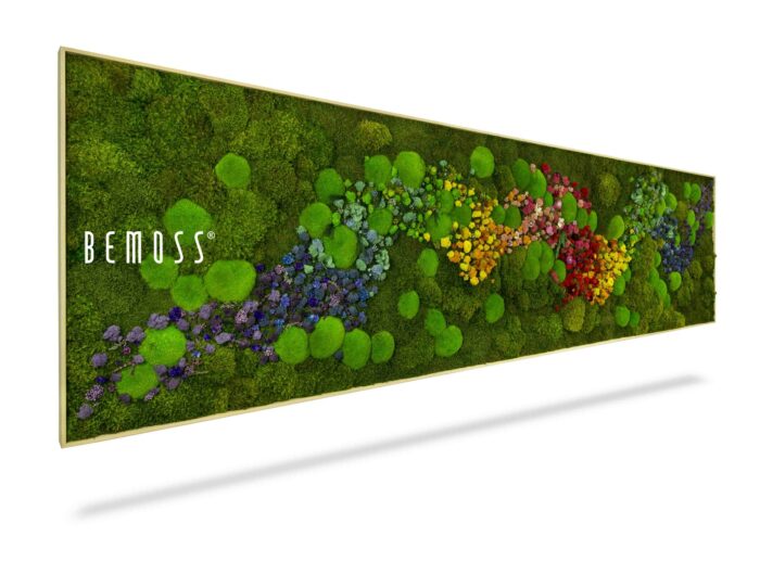 Un long cadre rectangulaire affiche une œuvre d'art en mousse vibrante et détaillée avec le mot « BEMOSS® » sur le côté gauche. Les murs en mousse présentent un dégradé de couleurs allant du vert au violet, en passant par le jaune, l'orange et le rouge, créant un motif dynamique et fluide.