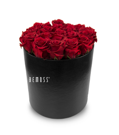 Une boîte cylindrique noire remplie d'un bouquet de roses rouges éclatantes. La boîte porte le nom de la marque « BEMOSS » imprimé en lettres blanches. Les roses sont disposées étroitement les unes contre les autres, créant un décor luxuriant et romantique rappelant les murs en mousse.