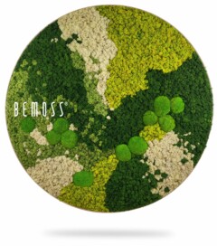 Une œuvre d'art murale circulaire présentant un mélange de mousse préservée verte et beige disposée selon un motif abstrait. Le logo "BEMOSS" est visible sur le côté gauche de la pièce. Les différentes nuances de mousse créent un aspect texturé et naturel, rappelant les murs végétaux. Tableau de mousse rond BEMOSS® ORTHO ICE