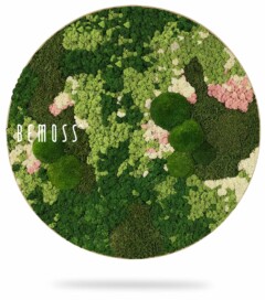 Une œuvre d'art murale circulaire avec un arrangement diversifié de mousse préservée et de matériaux végétaux naturels dans des tons de vert, de rose et de blanc, mettant en valeur un motif abstrait. Le mot « Tableau de mousse rond BEMOSS® ORTHO PINK » s'affiche sur le côté gauche, apportant une touche d'élégance organique à votre espace.