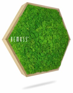 Cadre hexagonal en bois rempli de mousse verte vibrante, accroché sur un fond blanc. Le mot « BEMOSS » est imprimé en blanc sur la surface de la mousse, créant un magnifique tableau de mousse.