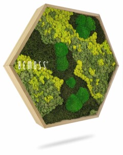 Un cadre en bois hexagonal rempli de diverses nuances de mousse verte et jaune préservée, créant une œuvre d'art texturée et naturelle. Le mot « BEMOSS » apparaît sur le côté gauche, ce qui en fait un charmant tableau de mousse.