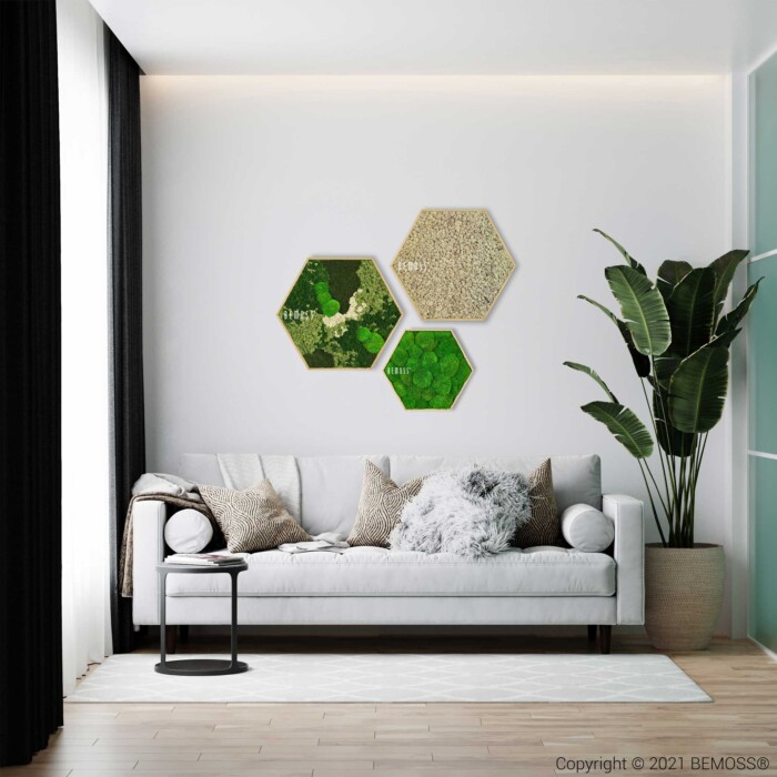 Un salon moderne dispose d'un canapé blanc avec des oreillers décoratifs. Au-dessus du canapé se trouvent trois pièces hexagonales d’art mural BEMOSS avec des motifs de mousse. Une grande plante en pot se dresse à droite et une petite table d’appoint noire est placée devant le canapé.