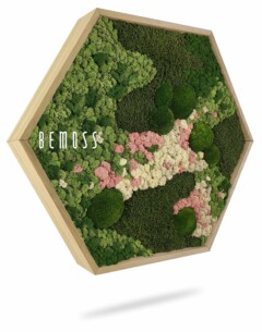 Un cadre en bois hexagonal rempli d’un arrangement de mousse et de feuillage verts, roses et blancs préservés crée une décoration murale texturée et colorée. Le mot « BEMOSS » est imprimé sur le côté gauche du cadre, incarnant l'essence des murs en mousse.