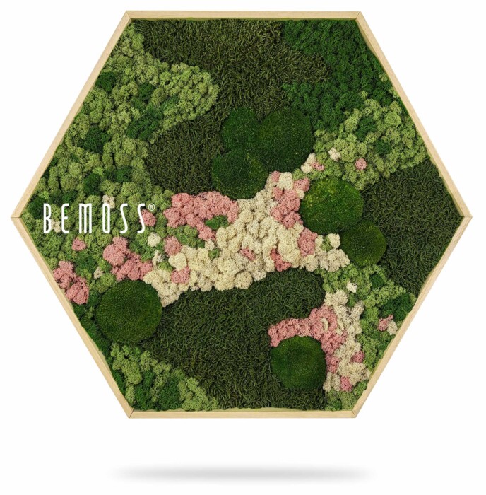 Un cadre en bois hexagonal présente un arrangement vibrant de mousse préservée. L’exposition présente diverses nuances de mousse verte entrecoupées de taches de mousse rose et blanche, créant une mosaïque astucieuse et naturelle. Le cadre de marque BEMOSS constitue un superbe tableau de mousse.