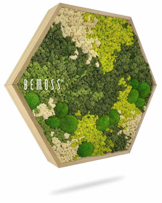 Un cadre en bois de forme hexagonale rempli de mousse verte et blanche préservée de différentes nuances et textures. Le mot « BEMOSS » est inscrit sur le côté gauche de ce saisissant tableau de mousse.