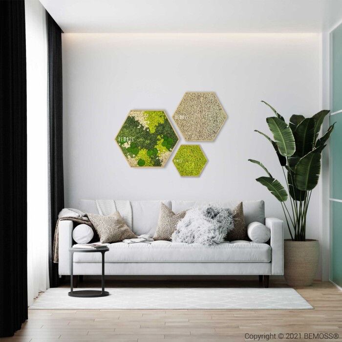 Un salon moderne comprend un canapé blanc orné de divers coussins texturés et d'une couverture. Au-dessus du canapé, trois œuvres d'art hexagonales sont accrochées à un mur blanc. À droite, une grande plante verte se dresse près d’une fenêtre aux rideaux noirs, complétée par des murs végétaux aux couleurs vives ajoutant une beauté naturelle à l’espace.