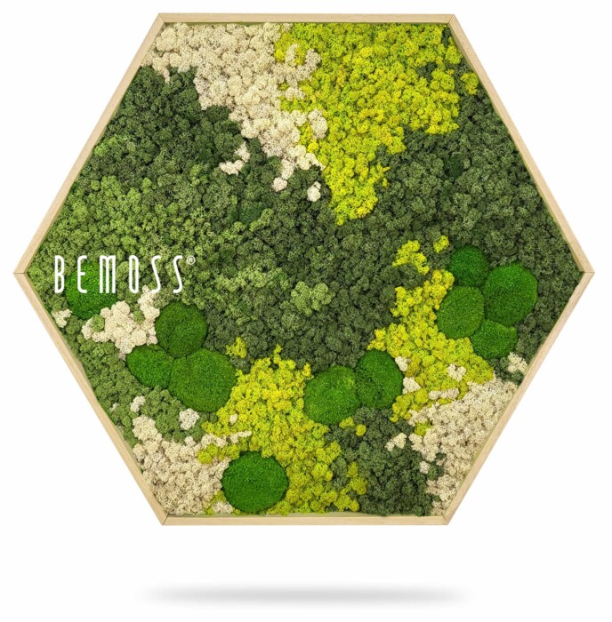 Un cadre hexagonal en bois rempli de mousse préservée dans différentes nuances de vert et de blanc. Le logo 