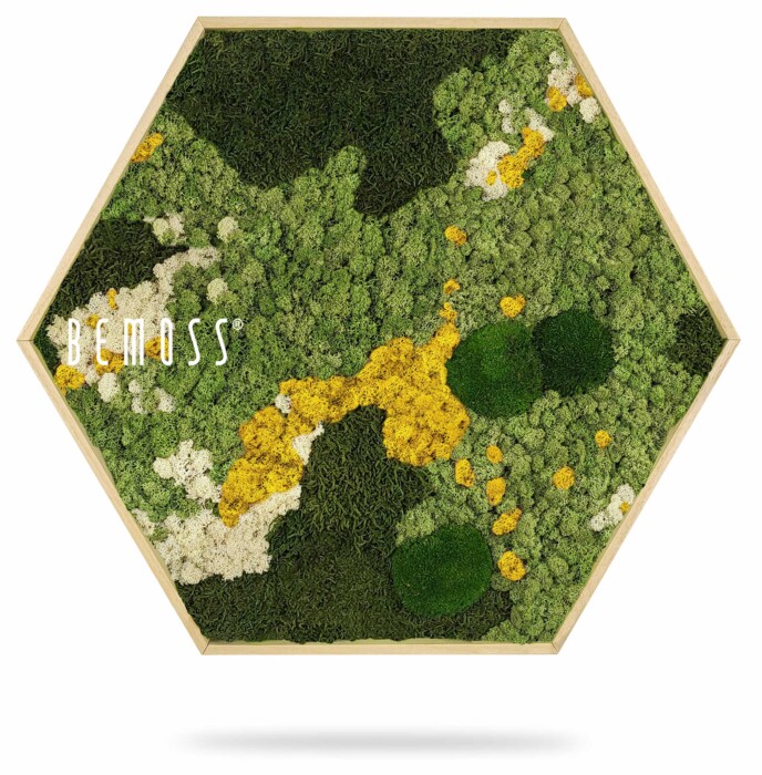 Un cadre en forme d'hexagone rempli de diverses nuances de mousse et de lichen préservés, disposés selon un motif texturé de vert clair, vert foncé, jaune et blanc. Le nom de la marque « BEMOSS » est visible sur le côté gauche du cadre.