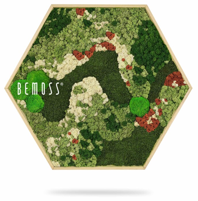 Un cadre en bois hexagonal contient un tableau de mousse vibrant présentant un motif sinueux de diverses mousses vertes, blanches et rouges. Le mot « BEMOSS » est imprimé sur le côté gauche de l’œuvre.