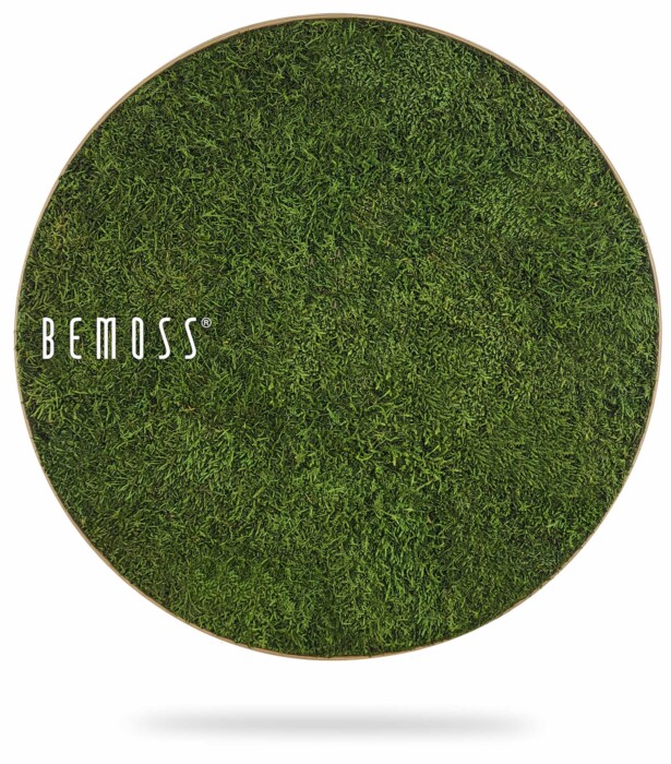 Un tapis circulaire recouvert de mousse vert foncé avec le nom de marque « BEMOSS® » écrit en texte blanc sur le côté gauche. Le Tableau de mousse rond FLATMOSS semble flotter sur un fond blanc uni, ressemblant à un exquis tableau de mousse.