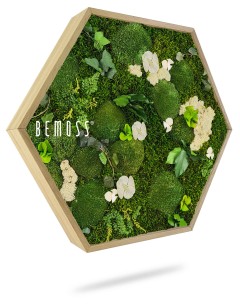 Un cadre en bois hexagonal présente un jardin vertical avec de la mousse préservée, de petites plantes vertes et des fleurs blanches. Le mot « Hexagone de mousse BEMOSS® ORTHO ICE » est imprimé en lettres blanches sur le côté gauche du cadre, qui semble flotter sur un fond blanc. Ce charmant tableau de mousse ajoute une touche de nature à l'intérieur.