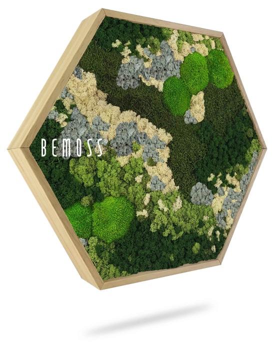 Un cadre hexagonal en bois rempli d'un motif complexe de mousse préservée dans différentes nuances de vert, crème et gris. Le design ressemble à un paysage naturel couvert de mousse. Le mot « Hexagone de mousse BEMOSS® ORTHO ICE » est inscrit sur le côté gauche du tableau de mousse.