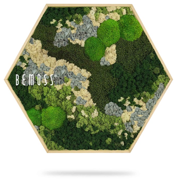 Un cadre hexagonal présente un arrangement de mousse préservée dans diverses nuances de vert et de gris, formant une œuvre d'art murale texturée inspirée de la nature. Le nom « Hexagone de mousse BEMOSS® ORTHO ICE » est affiché sur le côté gauche de ce tableau de mousse.