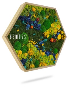 Un cadre en bois hexagonal contient une gamme vibrante de mousse préservée et de fleurs artificielles dans des teintes vertes, jaunes, bleues et violettes. Marqué du nom de marque « Hexagone de mousse BEMOSS® ORTHO TORRES », ce tableau de mousse s'affiche sur un fond clair, projetant une ombre douce.