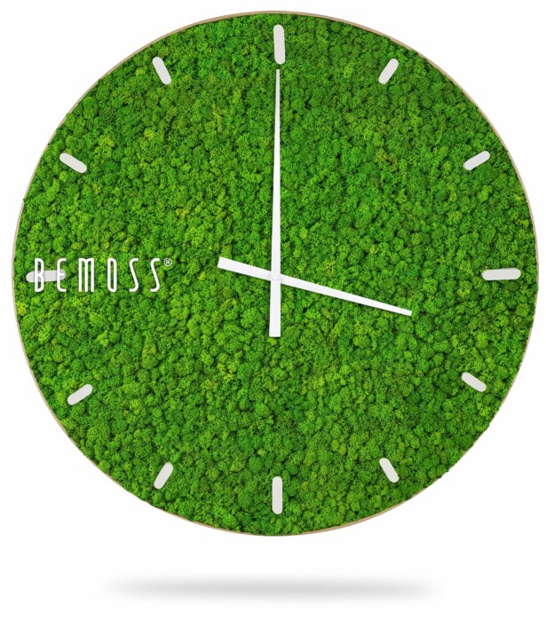 Une Horloge de mousse en mousse de RENNE avec cadran avec un cadran recouvert de mousse verte et des aiguilles des heures et des minutes blanches minimalistes. L'horloge comporte de simples graduations blanches à la place des chiffres. Le nom de la marque « BEMOSS » est affiché sur le côté gauche, lui conférant une esthétique unique de tableau de mousse. L'horloge semble flotter au-dessus d'un fond blanc.