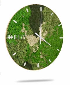 Présentation de l'Horloge de mousse BEMOSS® ORTHO SPRING avec cadran, une horloge murale ronde dotée d'un cadran recouvert de mousse verte et beige avec des aiguilles des heures et des minutes blanches. Le nom de la marque « BEMOSS » est affiché sur le côté gauche du tableau de mousse minimaliste. L'horloge comporte des indicateurs d'heure marqués pour une lecture facile de l'heure.