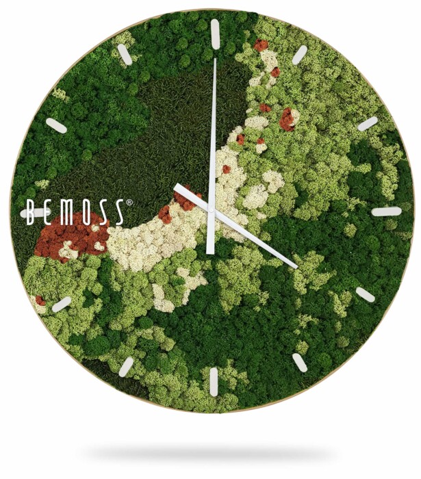 Une horloge murale ronde conçue avec de la mousse verte, blanche et brune formant un motif inspiré de la nature. L'horloge présente des index et des aiguilles blancs minimalistes sur fond moussu. Le nom de la marque « Horloge de mousse BEMOSS® ORTHO SPRING avec cadran » s'affiche sur le côté gauche du cadran de l'horloge, rappelant l'élégant décor de murs en mousse.