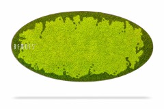 Un objet rectangulaire de forme ovale présente une surface de mousse vert vif avec des bords irréguliers. Le mot « Tableau de mousse Ellipse FLATMOSS » est écrit en blanc sur le côté gauche. L'objet ressemble à des murs en mousse et apparaît isolé sur un fond blanc avec une ombre subtile en dessous.