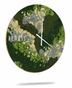 Une horloge murale ovale avec un motif de mousse abstrait dans différentes nuances de vert, gris et beige. L'horloge présente des aiguilles blanches minimalistes et « Horloge de mousse BEMOSS® ORTHO SPRING » imprimé sur le côté gauche. Sans chiffres, il projette une ombre subtile sur le fond blanc, s'intégrant parfaitement au décor des murs végétaux.