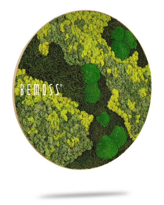 Voici votre description révisée :Un Tableau de mousse rond BEMOSS® ORTHO LIME circulaire et mural présente différentes nuances de mousse verte et jaune disposées selon un motif abstrait. Le logo BEMOSS est placé sur le côté gauche de l’œuvre, ce qui projette une légère ombre sur un fond blanc.