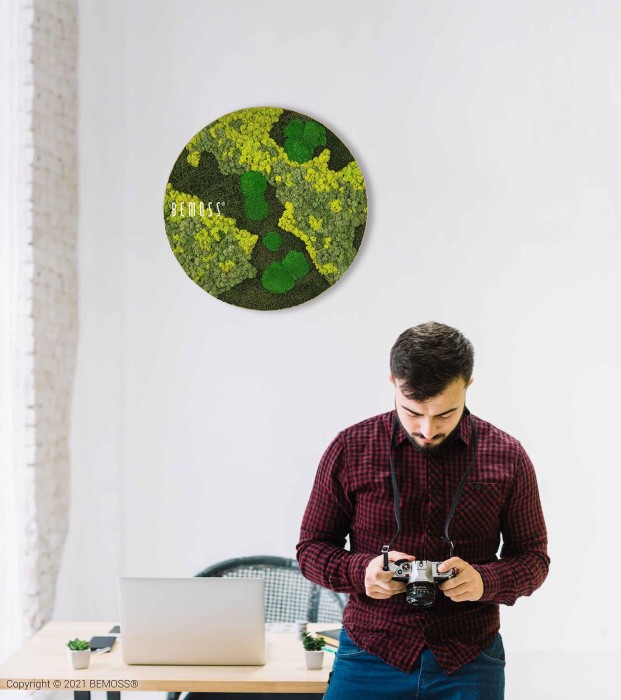 Une personne portant une chemise à carreaux rouge et noir tient un appareil photo, debout devant un bureau avec un ordinateur portable ouvert. Une œuvre d'art murale ronde représentant de la mousse verte, connue sous le nom de Tableau de mousse rond BEMOSS® ORTHO LIME, est accrochée au mur blanc derrière eux.