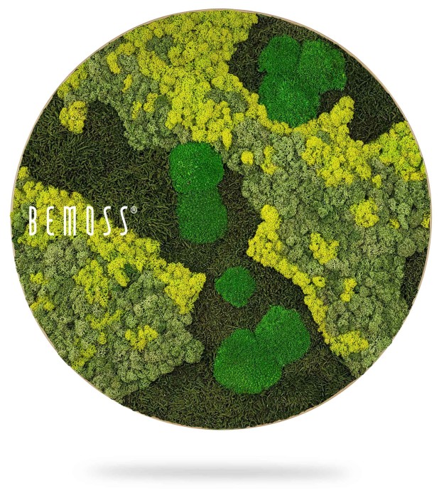 Un Tableau de mousse rond BEMOSS® ORTHO LIME de forme ovale, présentant un arrangement détaillé et texturé de mousse verte et jaune dans une variété de formes et de motifs sur une base de mousse vibrante, créant une apparence naturelle. Cet exemple exquis de murs en mousse ajoute une touche organique à n’importe quel espace.