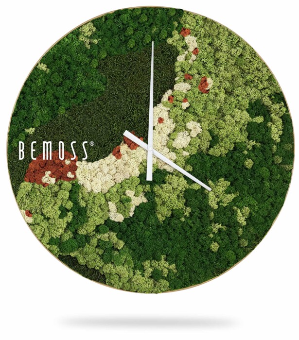 Une horloge murale circulaire avec un motif de tableau de mousse vert ressemblant à un paysage forestier avec des sentiers blancs et des taches brunes éparses. L'horloge comporte deux aiguilles blanches minimalistes et le nom de la marque Horloge de mousse BEMOSS® ORTHO SPRING en texte blanc sur le côté gauche.