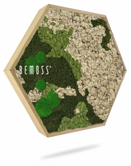 Une décoration murale hexagonale présentant un arrangement de mousse verte et beige, avec « BEMOSS » écrit en texte blanc sur le côté gauche. La mousse est disposée dans différentes textures et nuances, créant une esthétique naturelle et terreuse semblable aux murs en mousse. Le cadre est en bois.