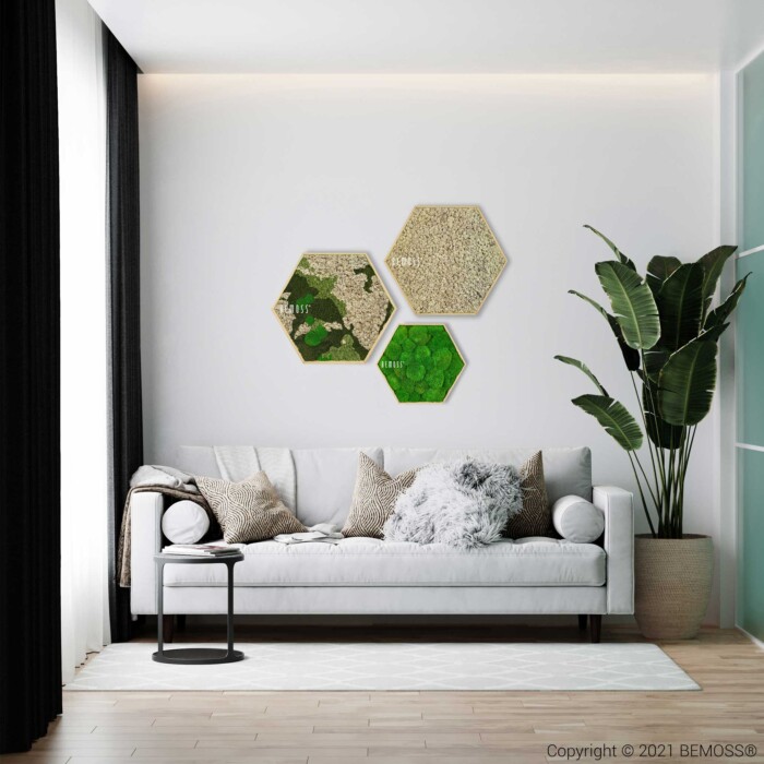 Un salon moderne avec un canapé gris clair orné de divers coussins, dont un moelleux. Une petite table d'appoint noire se dresse à côté du canapé. Le mur présente trois œuvres d’art hexagonales et un superbe tableau de mousse. Une grande plante verte est placée dans le coin et le sol est recouvert d'un tapis blanc.