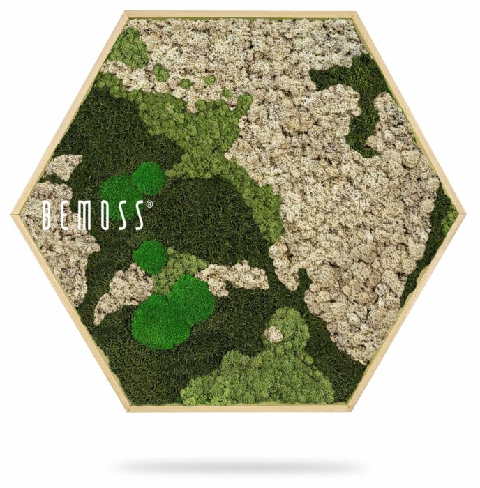 Un cadre hexagonal rempli d'un arrangement de mousse de renne préservée dans diverses nuances de vert et de beige, formant un motif abstrait et organique. Le mot « BEMOSS » est imprimé en blanc sur le côté gauche du cadre, créant un superbe exemple de murs en mousse.