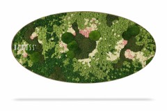 Œuvre d'art en mousse de forme ovale du Tableau de mousse Ellipse BEMOSS® ORTHO TORRES, présentant un motif abstrait dans diverses nuances de vert avec des taches de rose et de blanc. Le mélange de textures et de couleurs crée un aspect visuellement attrayant et naturel, rappelant un tableau de mousse.