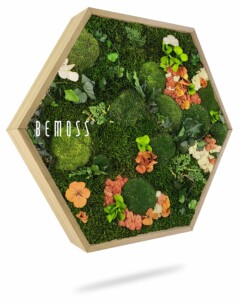 Un cadre en bois hexagonal contenant une mousse vibrante et un arrangement floral. Le motif comprend de la mousse verte, des fleurs orange et jaunes et diverses feuilles vertes. Le mot « Hexagone de mousse PLANTES Mesia Mango » est imprimé sur le côté gauche du cadre, créant un superbe tableau de mousse.