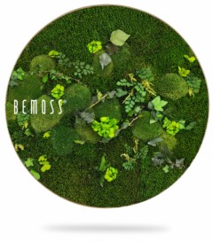 Une décoration murale ronde de BEMOSS mettant en vedette de la mousse verte luxuriante et de petites plantes artistiquement disposées sur une surface circulaire. Le contraste des différentes nuances et textures de verdure crée un tableau de mousse vivant et naturel autour de PLANTES Mesia.