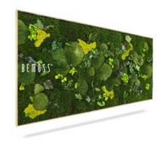 Une œuvre d'art murale rectangulaire présentant un arrangement de mousse et de feuillage verts et jaunes préservés. Le texte « BE MOSS » est affiché sur le côté gauche de l’œuvre. Le cadre minimal met en valeur la verdure luxuriante et texturée, ce qui en fait un superbe Tableau de mousse BEMOSS® ORTHO GREEN pour n'importe quel espace.