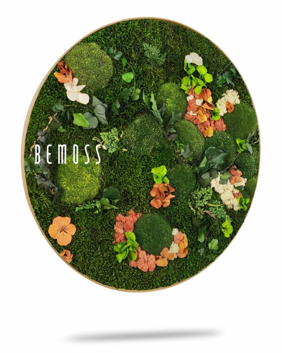 Une œuvre d'art murale verte circulaire présentant un arrangement de différents types de mousse et de fleurs séchées colorées. Le mot « BEMOSS » est affiché sur le côté gauche du cercle. Ce tableau de mousse présente des nuances vibrantes de vert, d'orange et de crème, créant une apparence naturelle et texturée. Il s'agit du Tableau de mousse rond PLANTES Mesia.