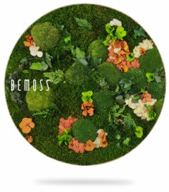 Un cadre circulaire contient un ensemble de mousse verte, de fleurs oranges et blanches et de plantes à feuilles disposées astucieusement pour ressembler à un paysage naturel. Le mot « BEMOSS » est écrit sur le côté gauche à l’intérieur de la mousse. Ce magnifique Tableau de mousse rond PLANTES Mesia projette une ombre subtile en dessous.