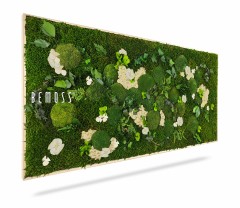 Une œuvre d'art murale rectangulaire de BEMOSS, présentant un motif complexe de mousse préservée, de verdure et de fleurs blanches disposées dans différentes nuances de vert. Le Tableau de mousse PLANTES Mesia Natural donne une esthétique luxuriante et naturelle, accentuée par les éléments tridimensionnels des plantes.