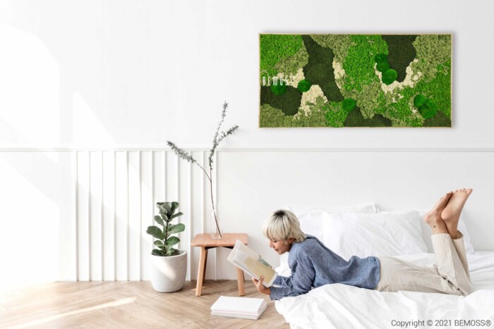 Une personne est allongée sur un canapé blanc et lit un livre. Le mur derrière eux présente des illustrations vibrantes du Tableau de mousse BEMOSS® ORTHO GREEN. À côté du canapé, il y a une table d'appoint en bois avec une grande plante dessus et une autre plante en pot sur le sol. La chambre présente un décor minimaliste et serein.